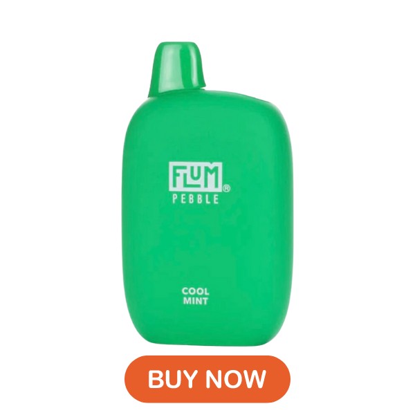 Cool Mint Flum Pebble 6000 Puffs