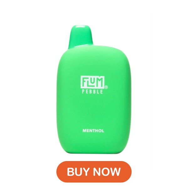 Menthol Flum Pebble 6000 Puffs