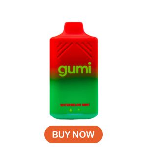 Watermelon Mint Gumi Bar Disposable Vape 8000 Puffs